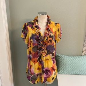 Sheer Dress Up or Down  Multi Color Blouse